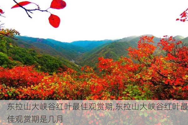 东拉山大峡谷红叶最佳观赏期,东拉山大峡谷红叶最佳观赏期是几月