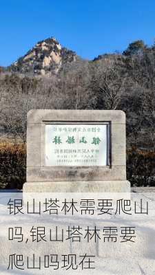 银山塔林需要爬山吗,银山塔林需要爬山吗现在