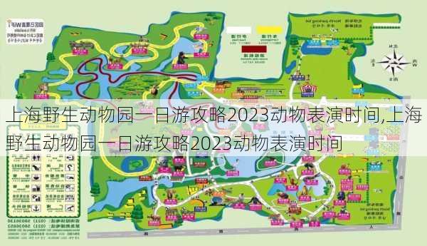 上海野生动物园一日游攻略2023动物表演时间,上海野生动物园一日游攻略2023动物表演时间