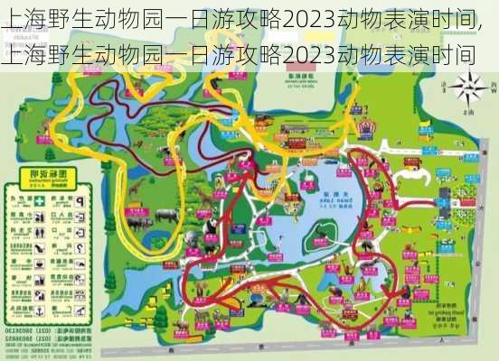 上海野生动物园一日游攻略2023动物表演时间,上海野生动物园一日游攻略2023动物表演时间