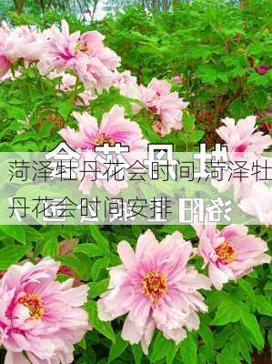 菏泽牡丹花会时间,菏泽牡丹花会时间安排