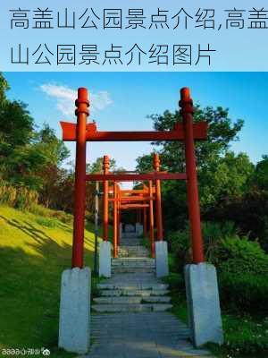 高盖山公园景点介绍,高盖山公园景点介绍图片