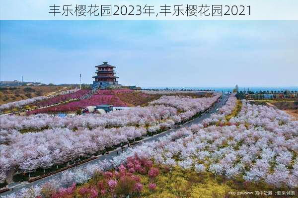 丰乐樱花园2023年,丰乐樱花园2021