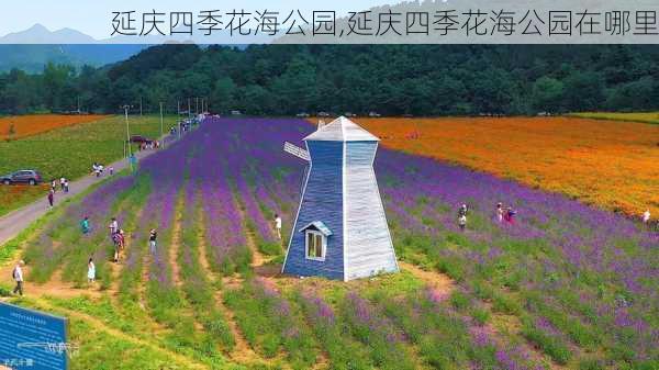 延庆四季花海公园,延庆四季花海公园在哪里