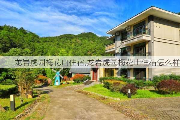 龙岩虎园梅花山住宿,龙岩虎园梅花山住宿怎么样