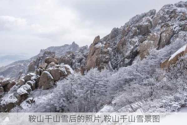 鞍山千山雪后的照片,鞍山千山雪景图