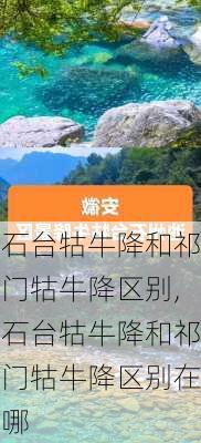 石台牯牛降和祁门牯牛降区别,石台牯牛降和祁门牯牛降区别在哪