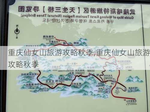 重庆仙女山旅游攻略秋季,重庆仙女山旅游攻略秋季