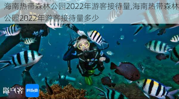 海南热带森林公园2022年游客接待量,海南热带森林公园2022年游客接待量多少