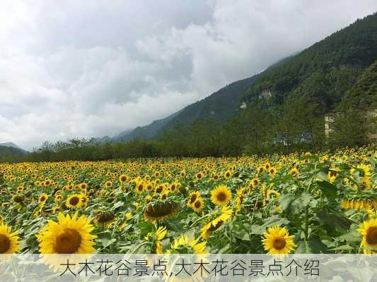 大木花谷景点,大木花谷景点介绍