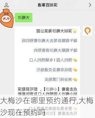 大梅沙在哪里预约通行,大梅沙现在预约吗