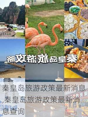 秦皇岛旅游政策最新消息,秦皇岛旅游政策最新消息查询