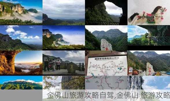 金佛山旅游攻略自驾,金佛山 旅游攻略