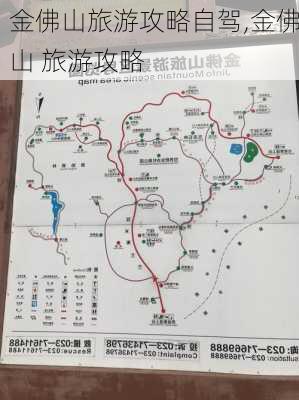 金佛山旅游攻略自驾,金佛山 旅游攻略