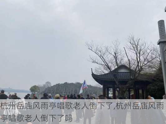 杭州岳庙风雨亭唱歌老人倒下了,杭州岳庙风雨亭唱歌老人倒下了吗