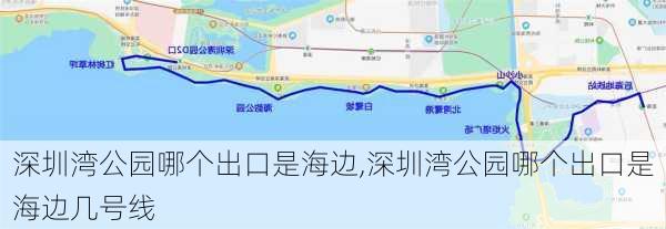 深圳湾公园哪个出口是海边,深圳湾公园哪个出口是海边几号线