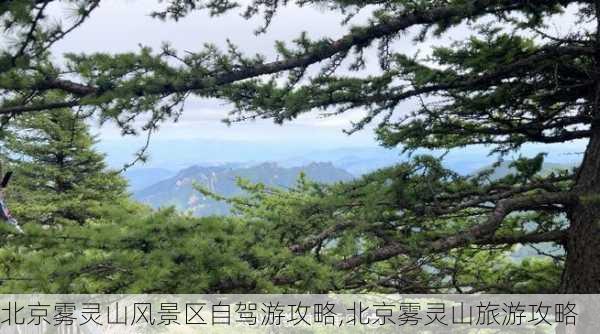 北京雾灵山风景区自驾游攻略,北京雾灵山旅游攻略