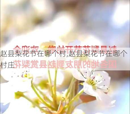 赵县梨花节在哪个村,赵县梨花节在哪个村庄