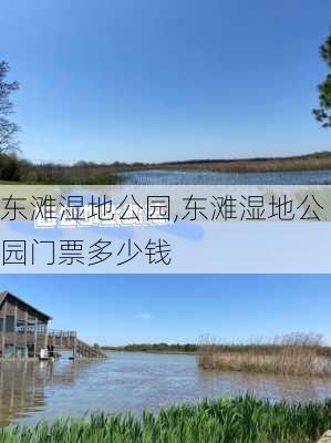 东滩湿地公园,东滩湿地公园门票多少钱