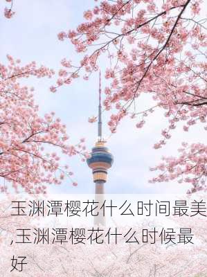 玉渊潭樱花什么时间最美,玉渊潭樱花什么时候最好