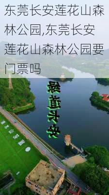 东莞长安莲花山森林公园,东莞长安莲花山森林公园要门票吗