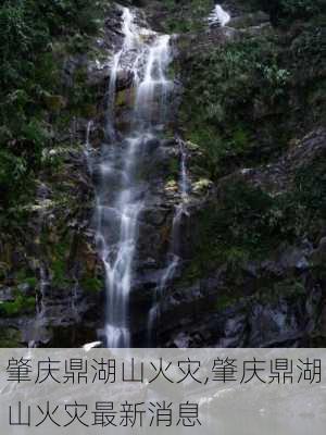 肇庆鼎湖山火灾,肇庆鼎湖山火灾最新消息