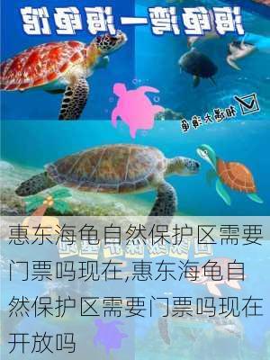 惠东海龟自然保护区需要门票吗现在,惠东海龟自然保护区需要门票吗现在开放吗