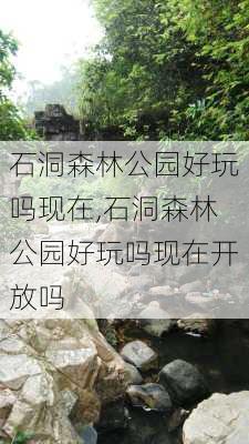 石洞森林公园好玩吗现在,石洞森林公园好玩吗现在开放吗