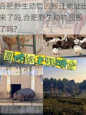 合肥野生动物园搬迁地址出来了吗,合肥野生动物园搬了吗?