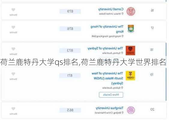 荷兰鹿特丹大学qs排名,荷兰鹿特丹大学世界排名