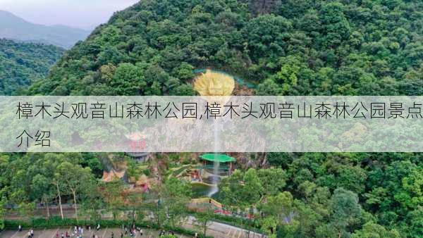 樟木头观音山森林公园,樟木头观音山森林公园景点介绍