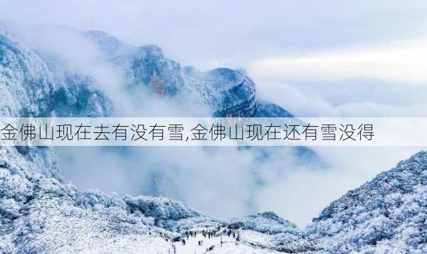 金佛山现在去有没有雪,金佛山现在还有雪没得