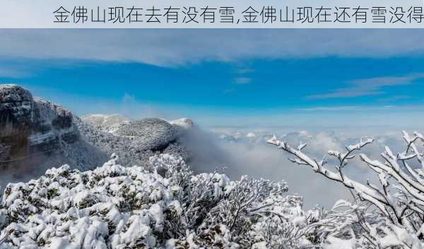 金佛山现在去有没有雪,金佛山现在还有雪没得