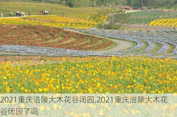 2021重庆涪陵大木花谷闭园,2021重庆涪陵大木花谷闭园了吗