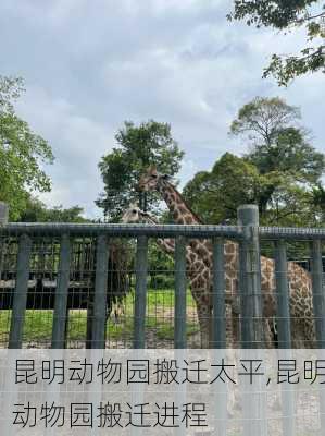 昆明动物园搬迁太平,昆明动物园搬迁进程