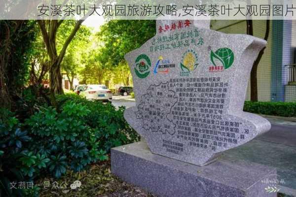 安溪茶叶大观园旅游攻略,安溪茶叶大观园图片