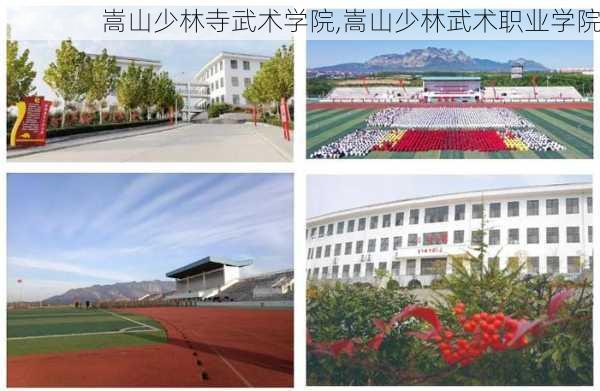 嵩山少林寺武术学院,嵩山少林武术职业学院