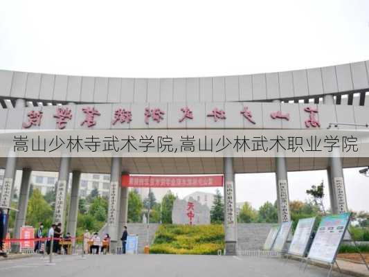 嵩山少林寺武术学院,嵩山少林武术职业学院