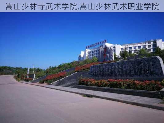 嵩山少林寺武术学院,嵩山少林武术职业学院