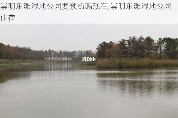 崇明东滩湿地公园要预约吗现在,崇明东滩湿地公园住宿