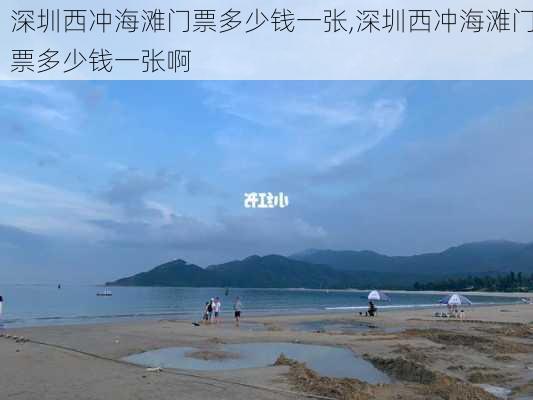 深圳西冲海滩门票多少钱一张,深圳西冲海滩门票多少钱一张啊