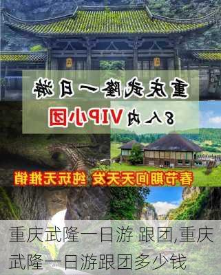 重庆武隆一日游 跟团,重庆武隆一日游跟团多少钱