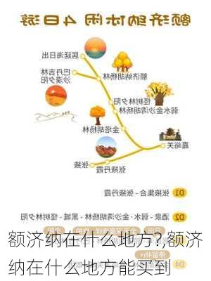 额济纳在什么地方?,额济纳在什么地方能买到