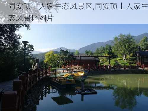 同安顶上人家生态风景区,同安顶上人家生态风景区图片