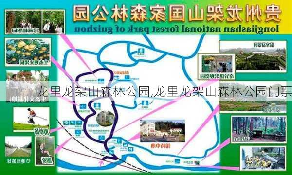 龙里龙架山森林公园,龙里龙架山森林公园门票