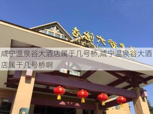 咸宁温泉谷大酒店属于几号桥,咸宁温泉谷大酒店属于几号桥啊