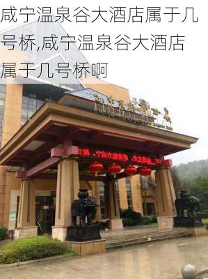 咸宁温泉谷大酒店属于几号桥,咸宁温泉谷大酒店属于几号桥啊