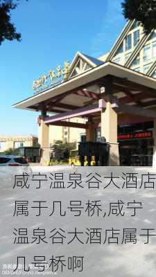 咸宁温泉谷大酒店属于几号桥,咸宁温泉谷大酒店属于几号桥啊