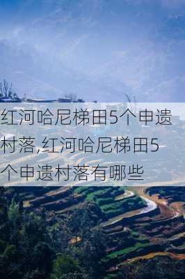 红河哈尼梯田5个申遗村落,红河哈尼梯田5个申遗村落有哪些