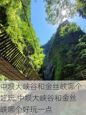 中坝大峡谷和金丝峡哪个好玩,中坝大峡谷和金丝峡哪个好玩一点